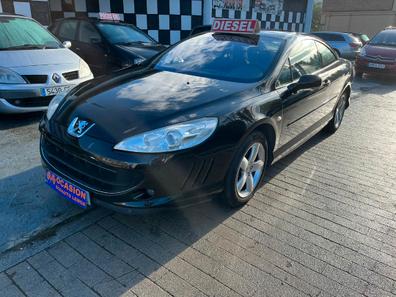 pizarra Catedral Ruina Peugeot 407 de segunda mano y ocasión en Bizkaia | Milanuncios