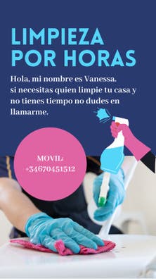 Vansae servicios de limpieza