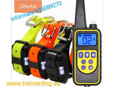 Collar electrico Perros en adopción, venta de accesorios y servicios para perros Milanuncios