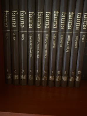 Enciclopedia salvat ano 2000 de segunda mano | Milanuncios