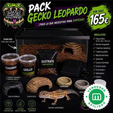 Milanuncios - Pack gecko leopardo (Eublepharis macular