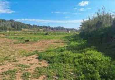 Terreno abandonado | Milanuncios