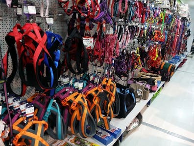 perros. Anuncios comprar y vender de segunda mano | Milanuncios