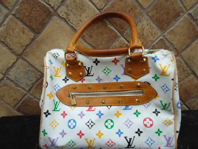 Bolsos de mano Louis vuitton Multicolor de en Piel de potro de