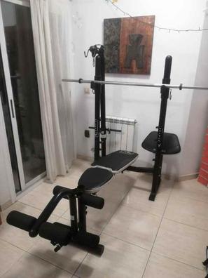 Banco Plano Pesas Plegable Pecho Biceps Triceps Ejercicio