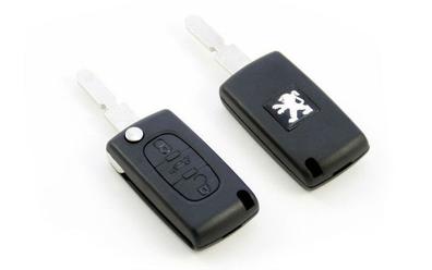 Pro-plip – Llave plip para Peugeot Partner, Expert – Carcasa de mando a  distancia Xtype