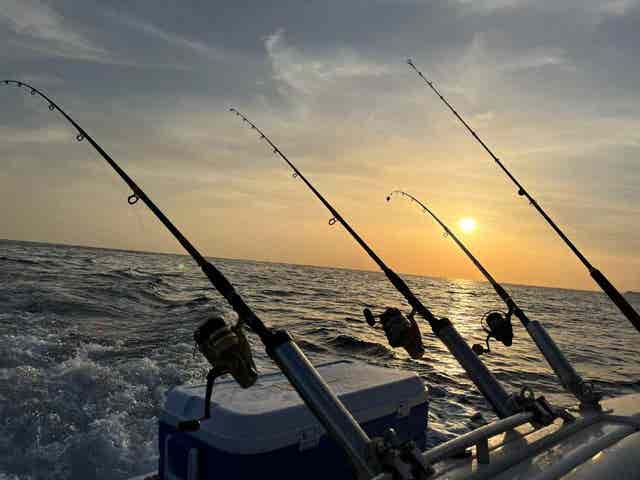 Milanuncios - en barco pesca, cañas