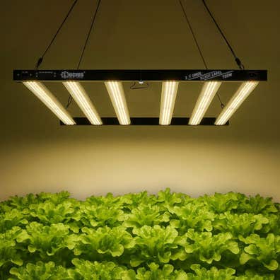 Milanuncios - Lucius Black Label 720W Led para Cultivo