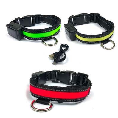 Collar perro led. Anuncios para y vender de segunda mano | Milanuncios