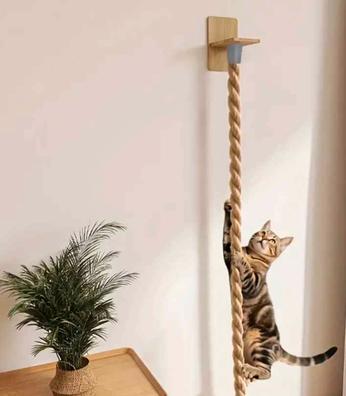 Gatos de segunda mano en Canarias Milanuncios