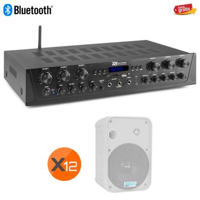 Modulo Amplificador Monofonico 100W Con Bluetooth, tweeter y entrada de  Microfonos