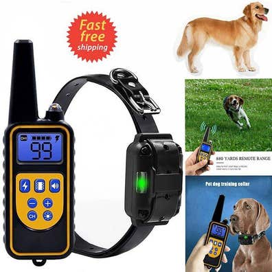 Collar para perros. Anuncios para comprar y de segunda | Milanuncios