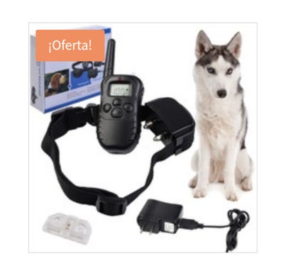 Collares adiestramiento Artículos accesorios de caza Asturias | Milanuncios