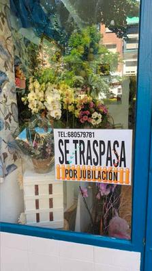 Floristerías baratas y con ofertas en Madrid | Milanuncios