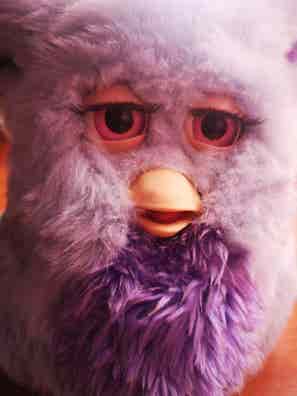 Furby interactivo de segunda mano Milanuncios