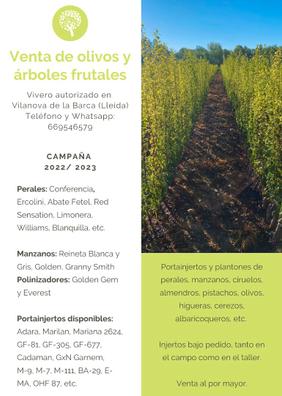 Arboles frutales Plantas de segunda mano baratas en Córdoba | Milanuncios