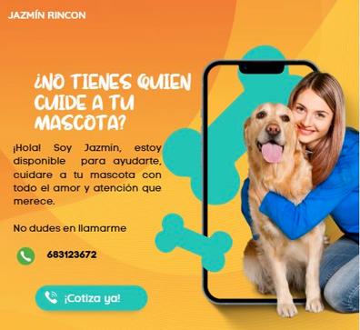 MILANUNCIOS | Pasear perros Ofertas empleo en Buscar y trabajo