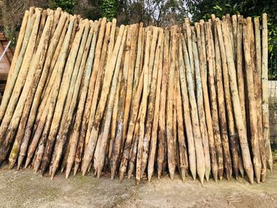 Eucalyptus - Espejo redondo con retroiluminación perimetral para