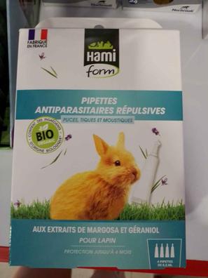 cada vez Fructífero buffet MILANUNCIOS | Conejos malaga Mascotas en adopción y accesorios de mascota  de segunda mano baratos