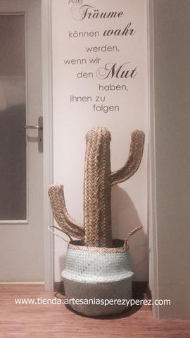 Cactus de esparto