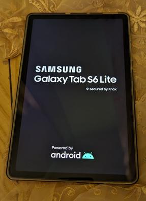 Samsung Galaxy Tab S6 Lite desde 276,21 €, Febrero 2024
