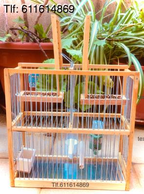Juego de dos jaulas trampa para pájaros: se puede utilizar como jaula de  transporte