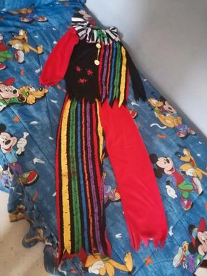 Ceder Sumergir Empleado Disfraces de niño de segunda mano baratos en Málaga Capital | Milanuncios