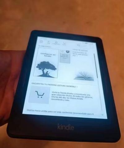 Milanuncios ebook kindle voyager con luz