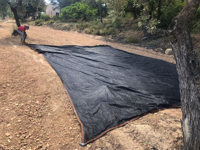 Milanuncios - 2 mallas negras 8x5metros