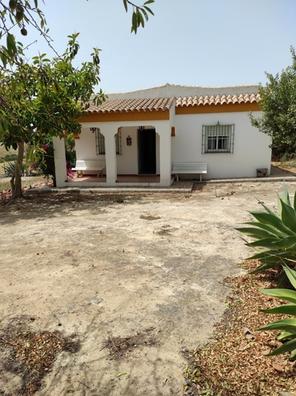 Casas campo arboles frutales Pisos en venta. Comprar y vender pisos |  Milanuncios