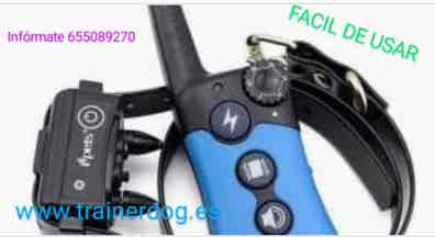 Collar adiestramiento Perros en adopción, compra de accesorios y servicios para Milanuncios
