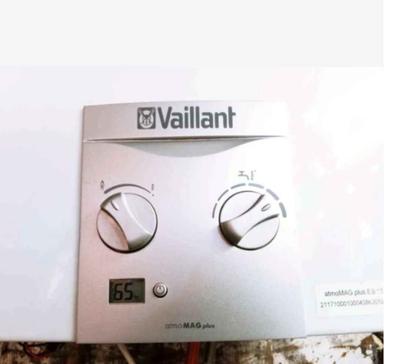 Calentador Vaillant TURBOMAG PRO 14L Gas Butano Propano