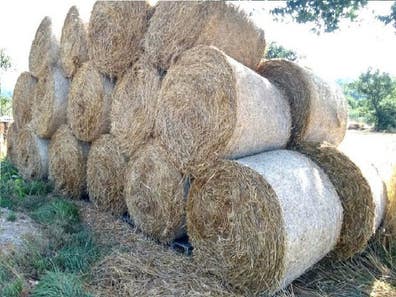Rulos hierba seca | Milanuncios