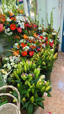 Floristerías baratas y con ofertas en Madrid | Milanuncios