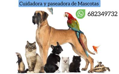MILANUNCIOS | Cuidador gatos Mascotas en adopción y accesorios de mascota de segunda baratos en Gipuzkoa