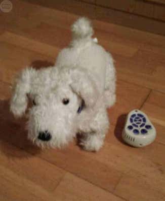 Perro interactivo Juguetes de segunda mano baratos Milanuncios
