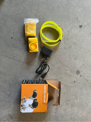 Collar Anuncios para comprar y vender de segunda mano |