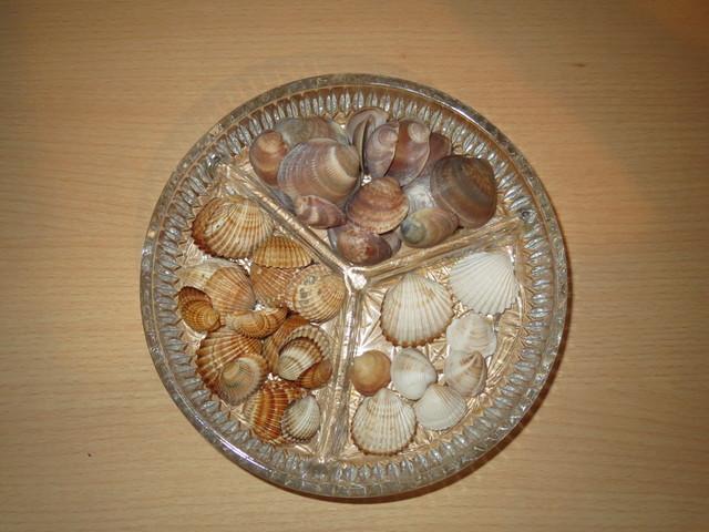 Decoracion conchas de mar, Artesanía con conchas, Artesanías con conchas  marinas