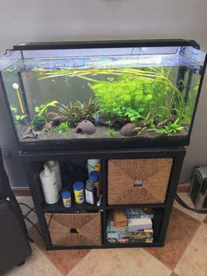 Acuario 100 litros Compra venta de y accesorios en Málaga | Milanuncios