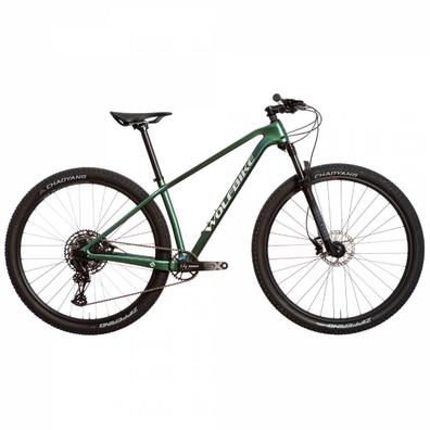 Bicicleta carbono MTB Evolution Proedition