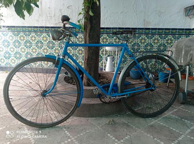 Milanuncios bicicletas best sale antiguas de varillas