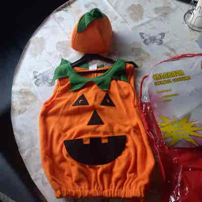 calabaza. Anuncios para comprar y vender de segunda | Milanuncios