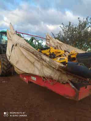 milanuncios-paraguas-arcusin-pinza-pellenc-grande