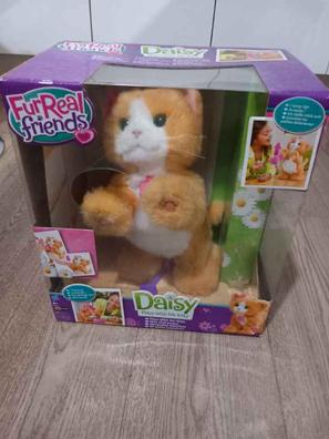 Juguetes Interactivos Juguetes Para Gatos De Segunda Mano PetPrime