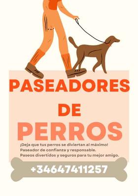 necesitas entrenamiento para ser un paseador de perros