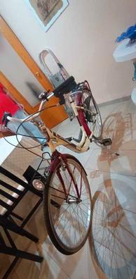 Bicicleta cinzia Bicicletas de segunda mano baratas Milanuncios