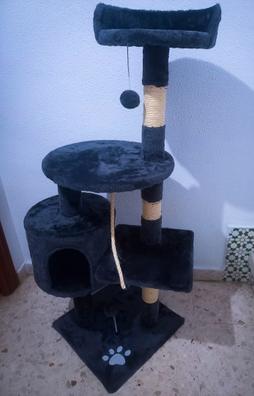 Comprar Marco de escalada para gatos, escalera de madera maciza montada en  la pared, tablero de cuerda de Sisal, escaleras para escalar, poste  rascador para gatos, hamaca para gatos