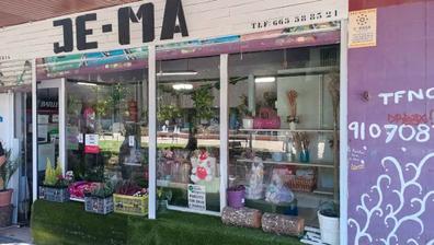 Floristeria Compra, venta y traspasos de negocios en Madrid | Milanuncios