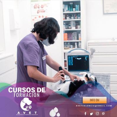 Cursos auxiliar veterinaria Milanuncios