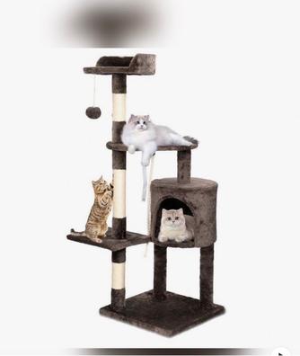 Gatos de segunda mano en Castellón Provincia Milanuncios